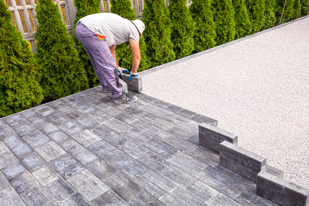 Best Driveway Pavers Near Me  in Hampton, AR