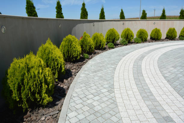 Best Decorative Driveway Pavers  in Hampton, AR