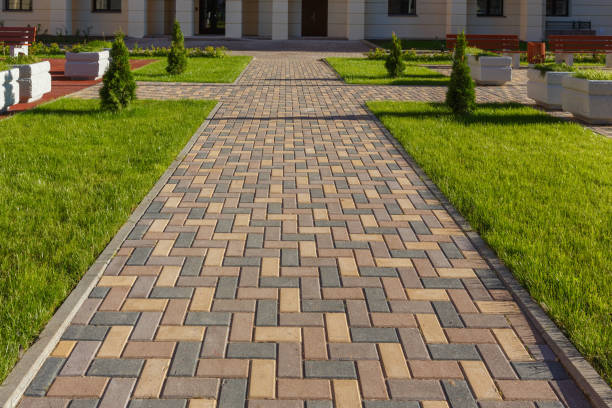 Best Driveway Paving Contractor  in Hampton, AR